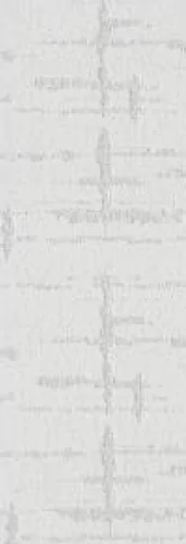 CARPET Carpet flooring | Knova's Carpet