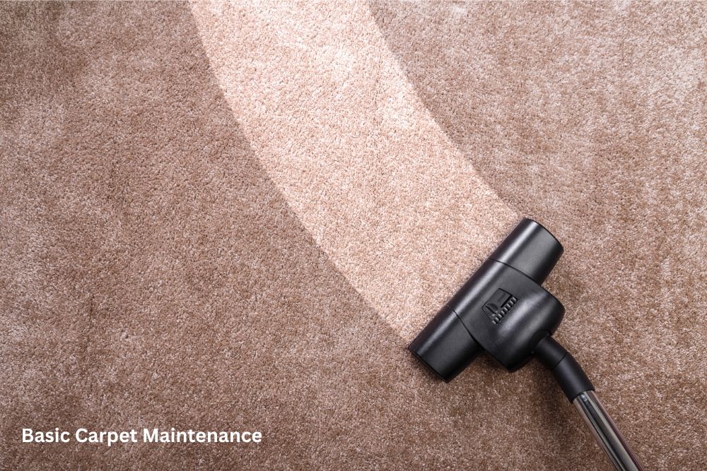 Carpet care | Knova's Carpet